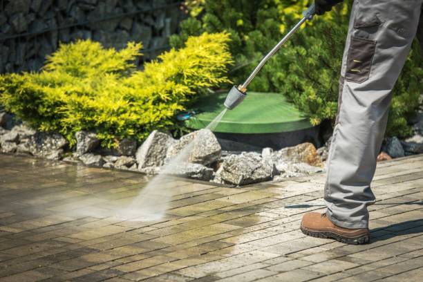 Best Soft Washing for Delicate Surfaces in Mora, MN