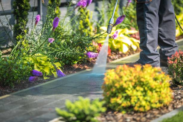 Best Brick and Stone Cleaning in Mora, MN